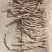 干黄花菜根出售