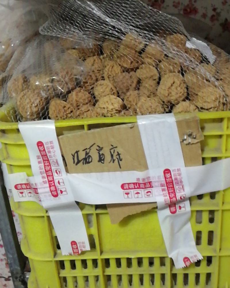 50亩基地