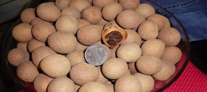 泰国桂圆干龙眼干厂家批发真实价格保质保量量大价低