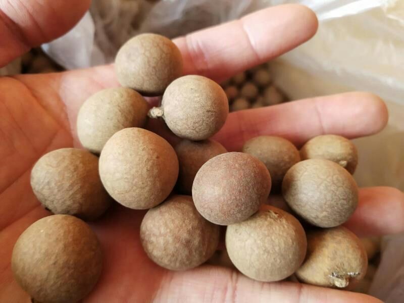 泰国桂圆干龙眼干厂家批发真实价格保质保量量大价低