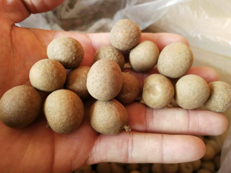 泰国桂圆干龙眼干厂家批发真实价格保质保量量大价低
