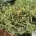 西藏化石草-小叶肾精茶-高品质新货-一斤起发全国包邮