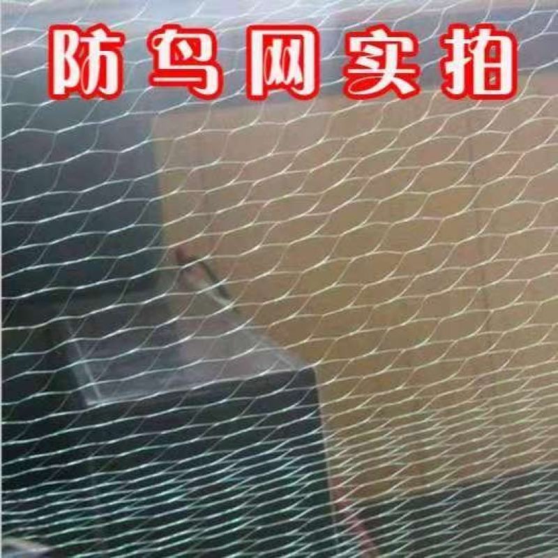 防鸟网果园果树葡萄网樱桃防鸟网蜻蜓网透