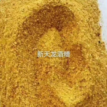 DDGS玉米酒糟欢迎询价