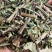 猫须草统装500g产地云南振兴药材购销站量大从