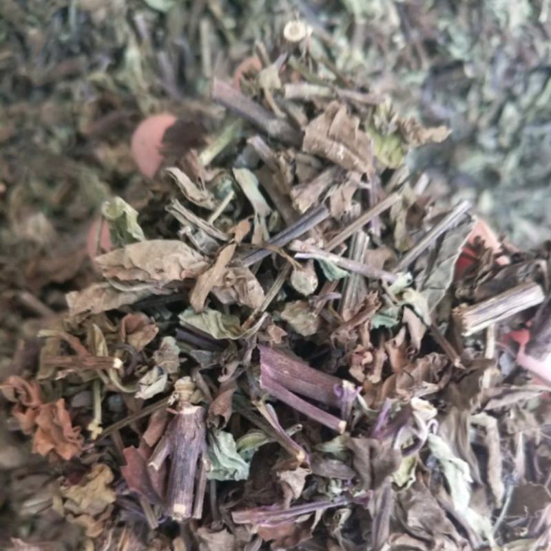 猫须草统装500g产地云南振兴药材购销站量大从