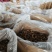 【小香菇】2—3公分金钱菇泌阳特产食用菌干香菇产地批发