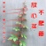 庭院攀援爬藤植物美国五叶地锦-三叶爬山虎大苗子-红叶爬墙