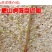 庭院攀援爬藤植物美国五叶地锦-三叶爬山虎大苗子-红叶爬墙