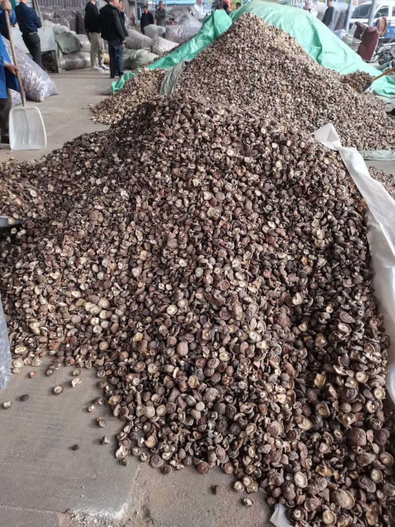 【小香菇】2—3公分金钱菇泌阳特产食用菌干香菇产地批发
