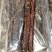 风干肉，手撕肉，地摊，展会，电商，商超，早市，夜市