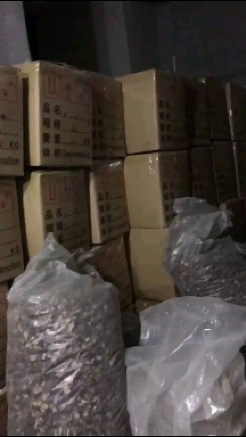 新货小香菇春载菇2—3公分原产地直销量大从优一手货源