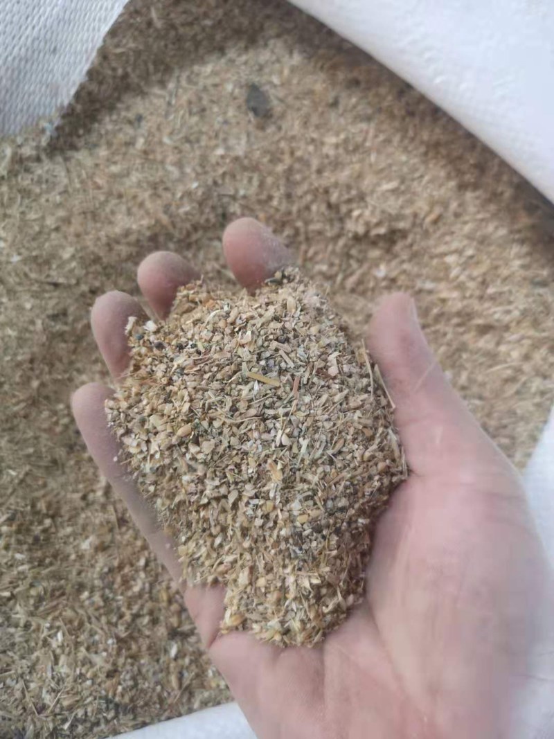 ，碎小麦，喂牛羊猪，鸡鸭鹅，养殖专用！！！