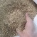 ，碎小麦，喂牛羊猪，鸡鸭鹅，养殖专用！！！