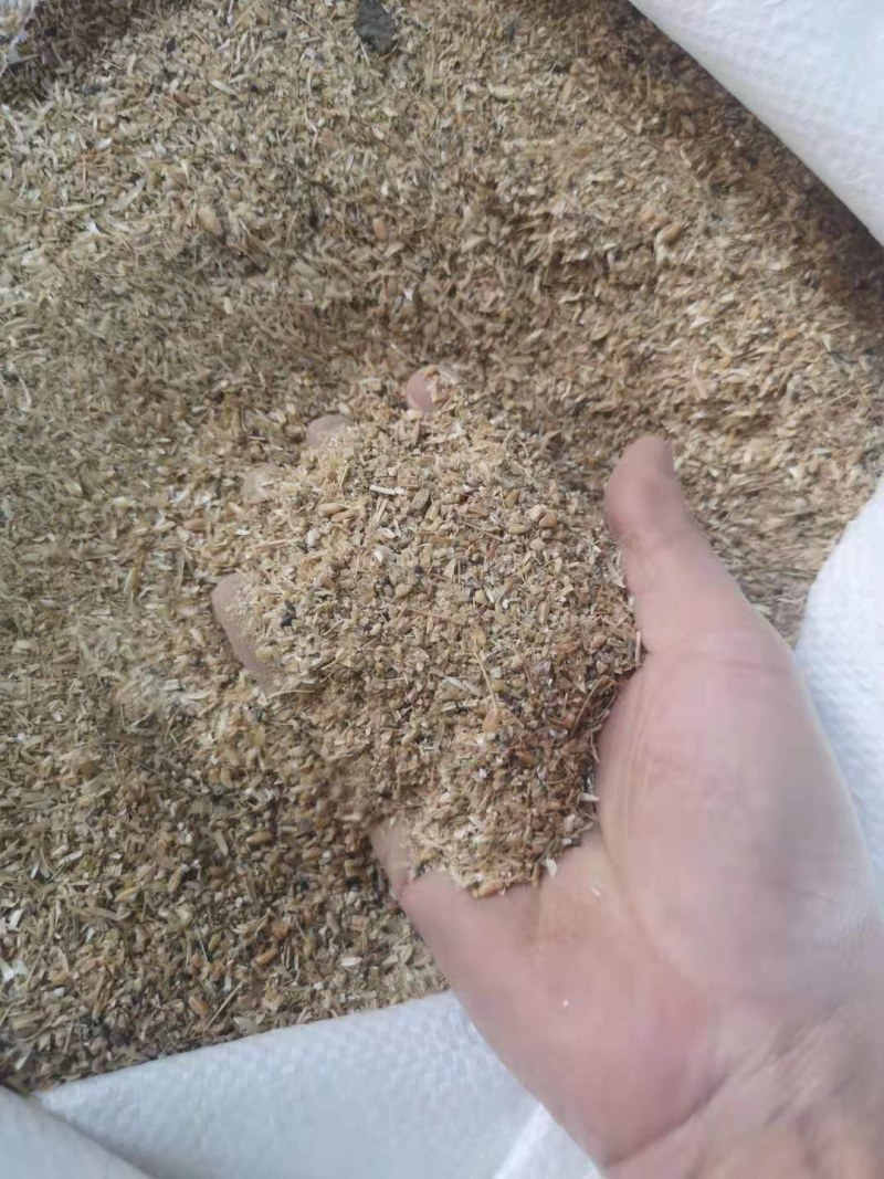 ，碎小麦，喂牛羊猪，鸡鸭鹅，养殖专用！！！
