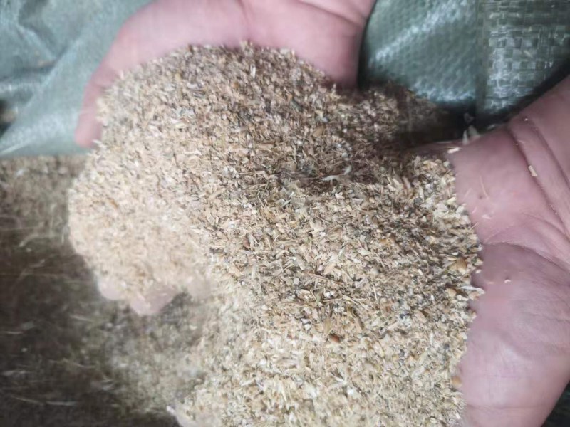 ，碎小麦，喂牛羊猪，鸡鸭鹅，养殖专用！！！