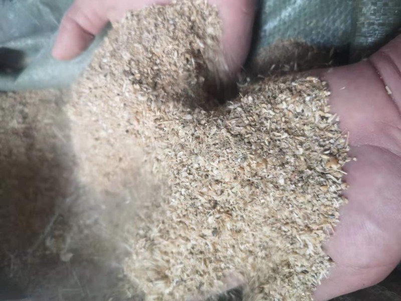 ，碎小麦，喂牛羊猪，鸡鸭鹅，养殖专用！！！