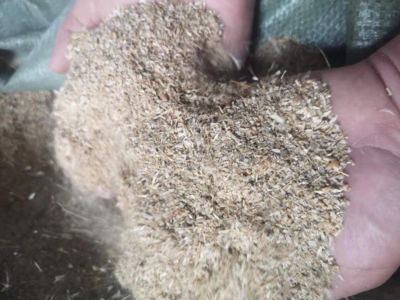 ，碎小麦，喂牛羊猪，鸡鸭鹅，养殖专用！！！