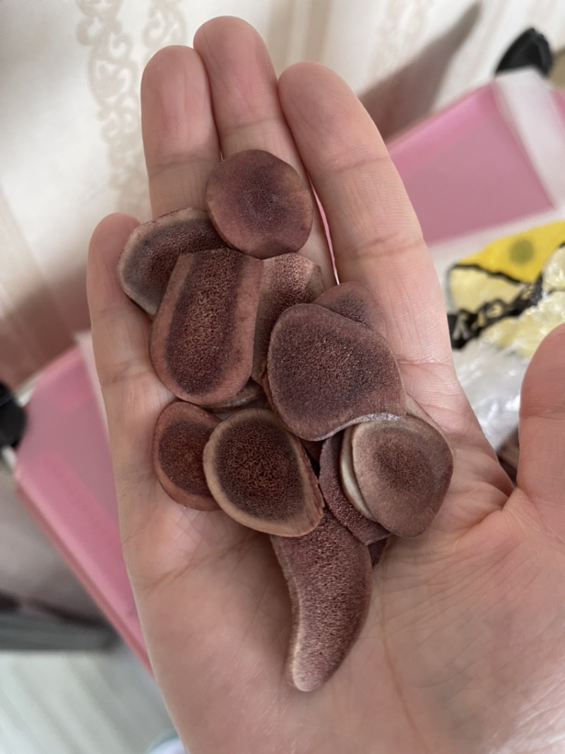 东北养鹿人干鹿茸片血片沙片泡酒炖汤滋补