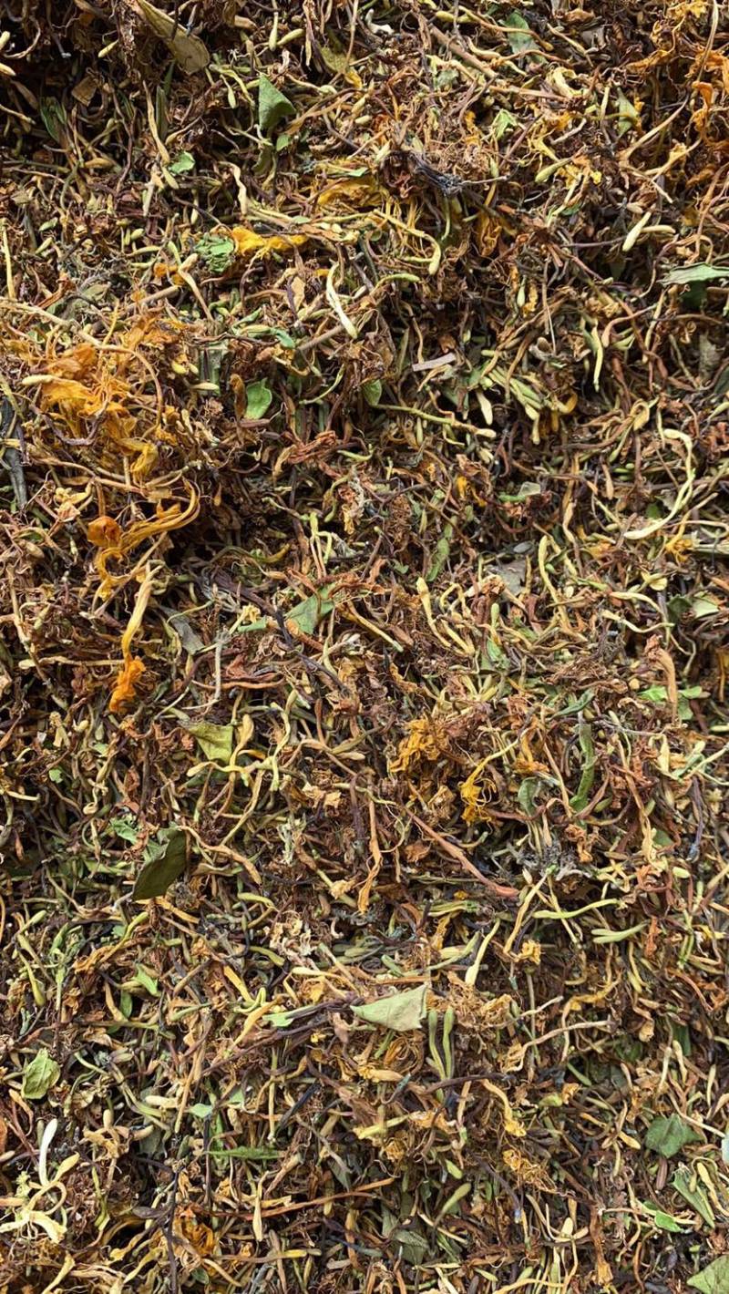 云南野生金银花，山银花，贵州家种花都有，下单全国包邮！