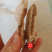 云南野生葛根粉现磨超细葛根粉500g
