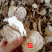 云南野生葛根粉现磨超细葛根粉500g