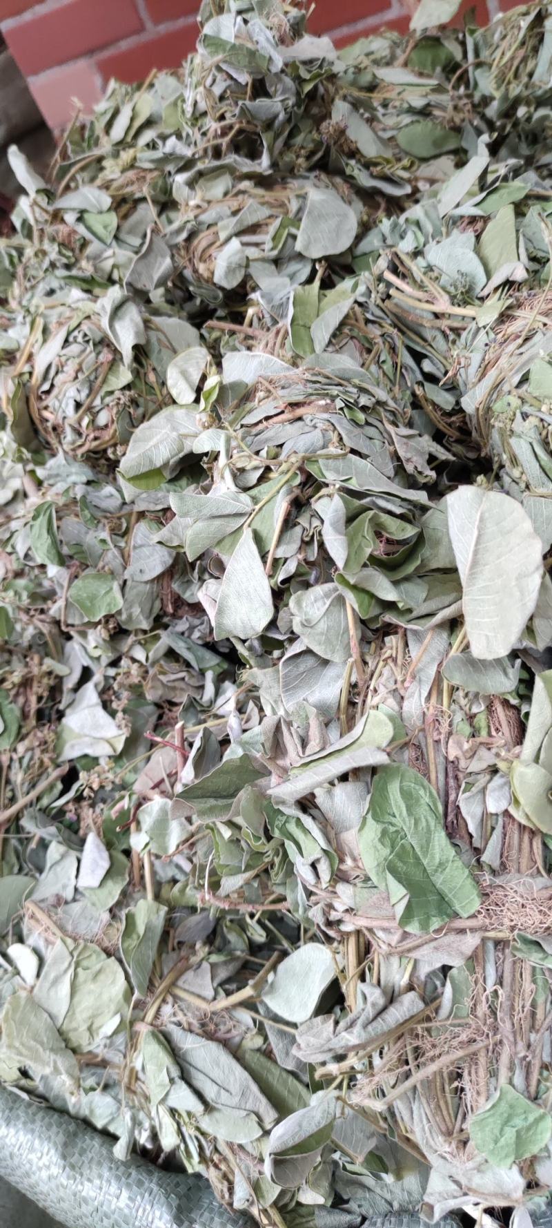 金钱草～新货扎把新货～1公斤起售～量大优惠～