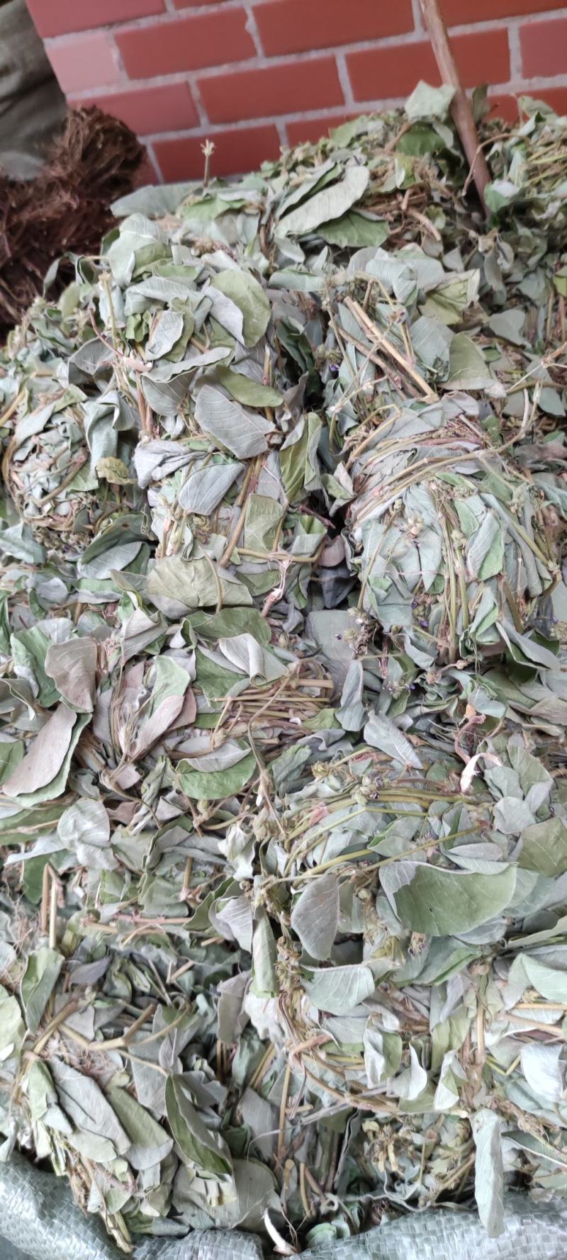 金钱草～新货扎把新货～1公斤起售～量大优惠～