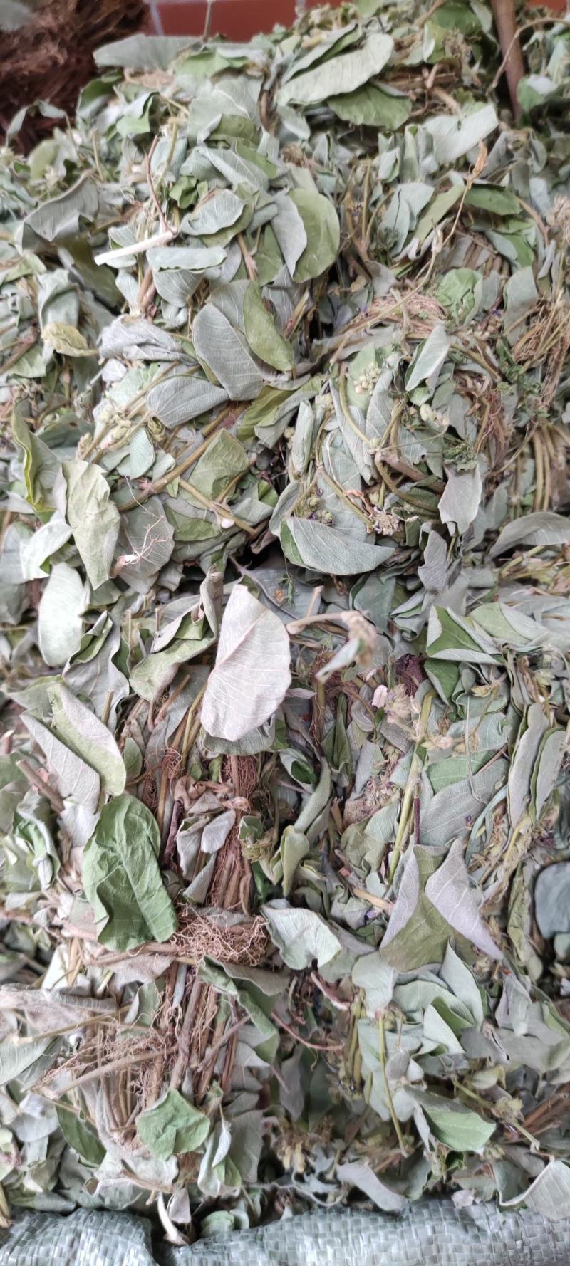 金钱草～新货扎把新货～1公斤起售～量大优惠～