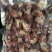 特级龙虾尾，龙虾尾，带黄龙虾尾龙虾肉无冰虾尾