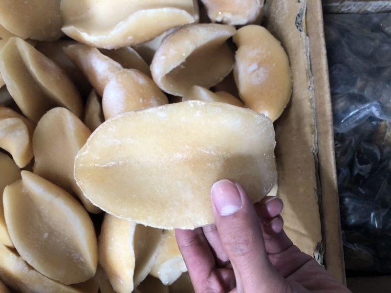 黄金澳鲍肉澳鲍肉澳洲鲍鱼肉鲍鱼肉无冰澳鲍，肉质细腻