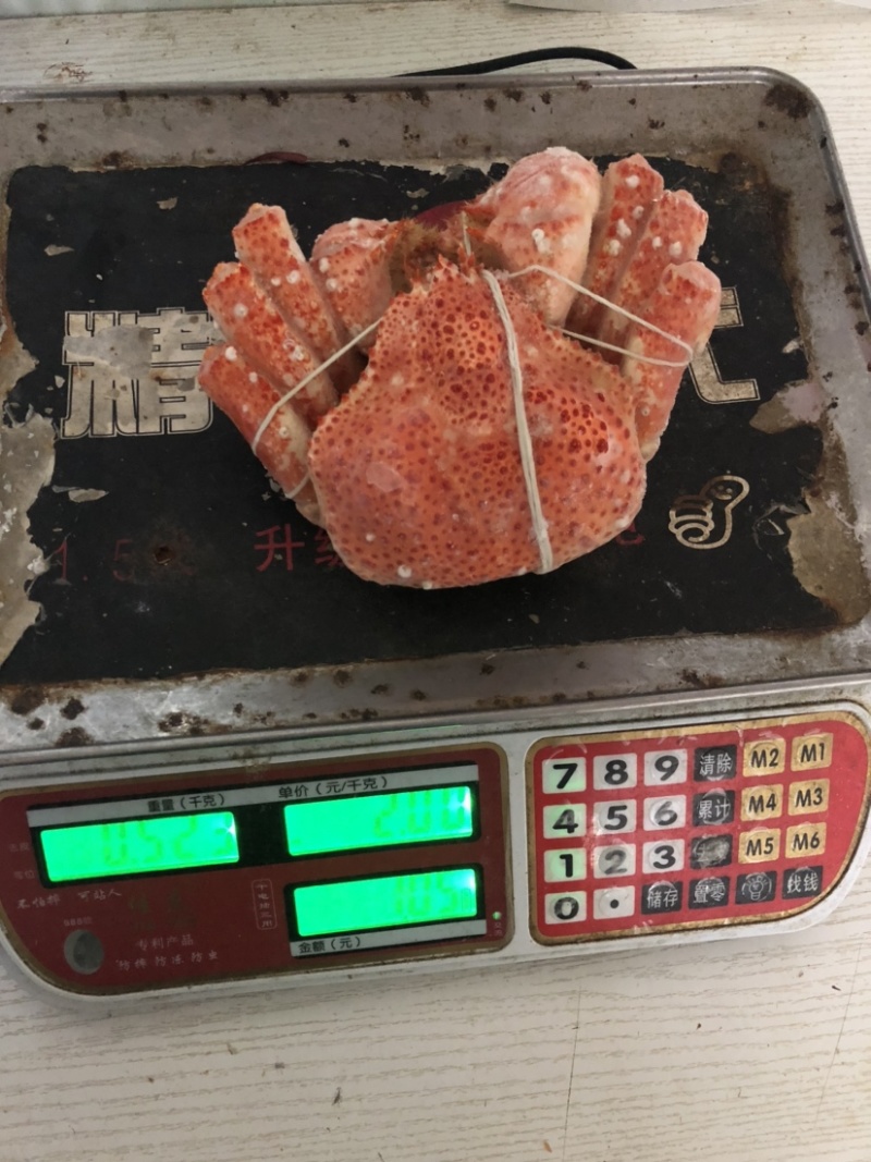 雪蟹，熟冻雪蟹雪蟹一斤重。帝王蟹表弟。