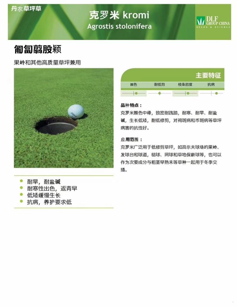 剪股颖种子草坪种子低矮免修剪庭院别墅高尔夫耐践踏草籽