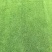 剪股颖种子草坪种子低矮免修剪庭院别墅高尔夫耐践踏草籽