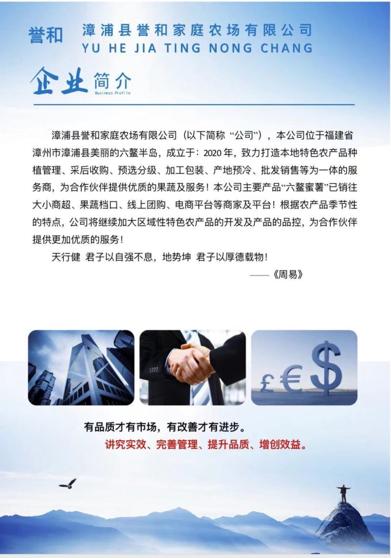 福建漳浦大葱大量上市希望与您真诚的合作…