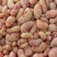 新鲜鸡腰子