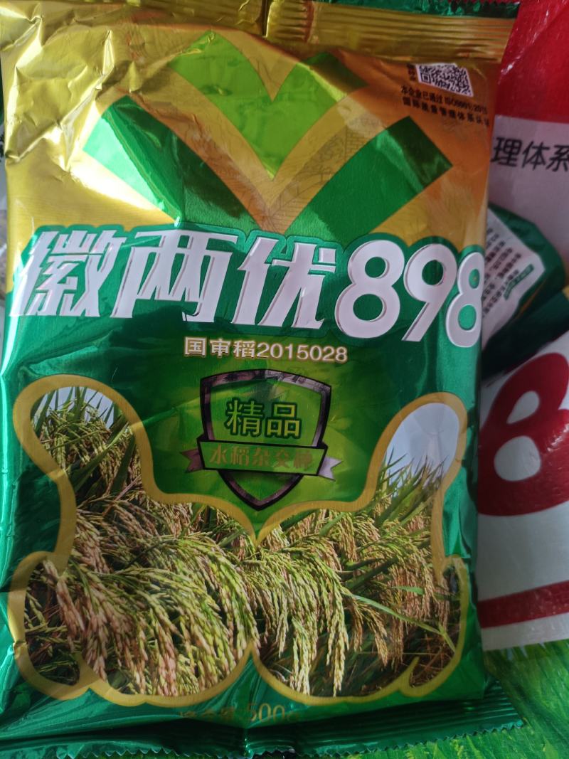 水稻种子杂交水稻种子大田种种植种子直播水稻种子糯米种子