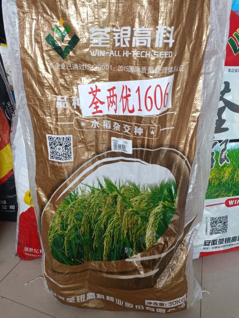 水稻种子杂交水稻种子大田种种植种子直播水稻种子糯米种子