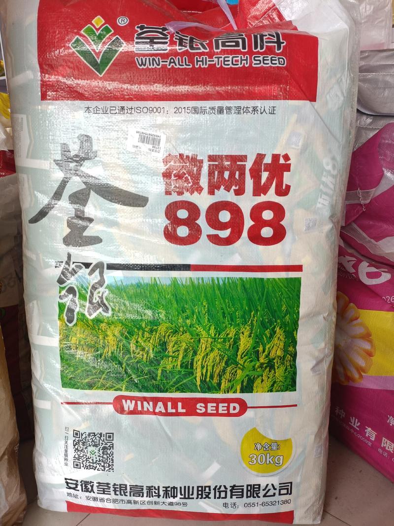 水稻种子杂交水稻种子大田种种植种子直播水稻种子糯米种子