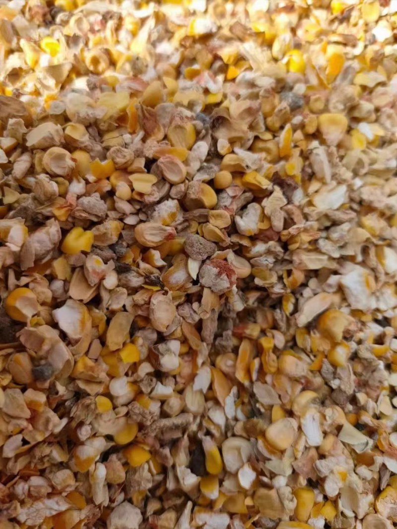 碎玉米，喂牛羊猪，鸡鸭鹅，养殖专用产品！！产品有保障！！