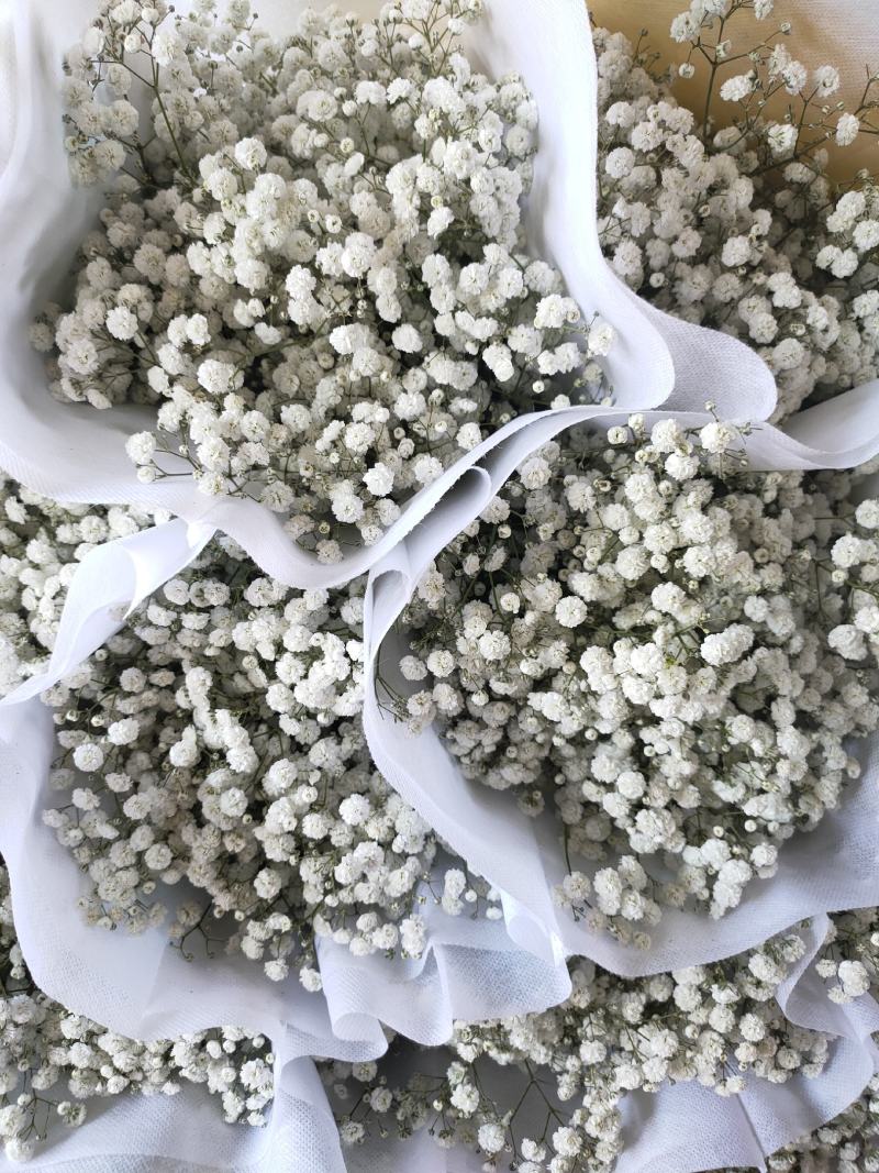 精品花卉满天星干花花束