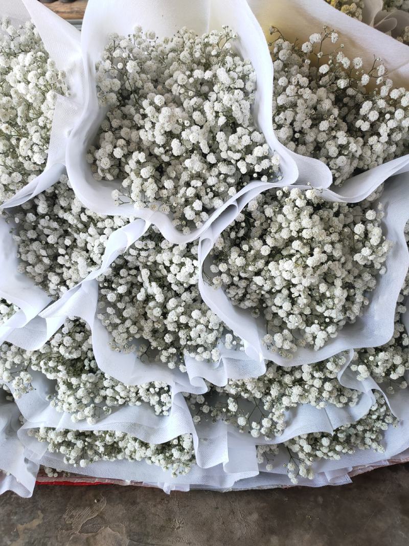 精品花卉满天星干花花束