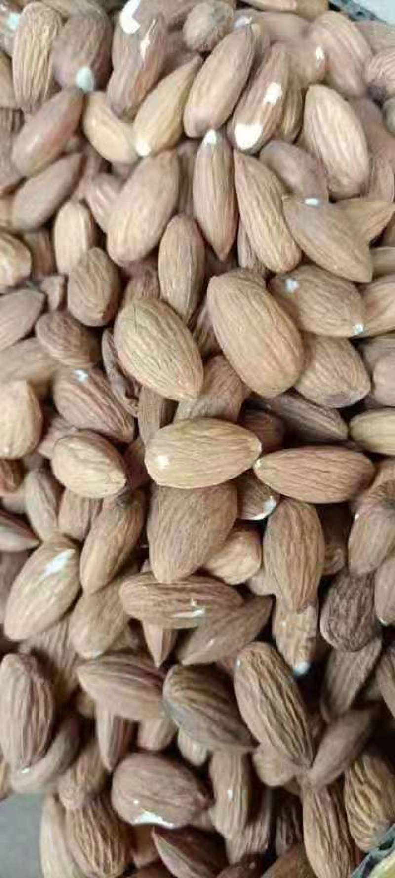 批发生果【进口巴旦木仁】生杏仁适用于做药用材料和各项食品