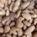 批发生果【进口巴旦木仁】生杏仁适用于做药用材料和各项食品