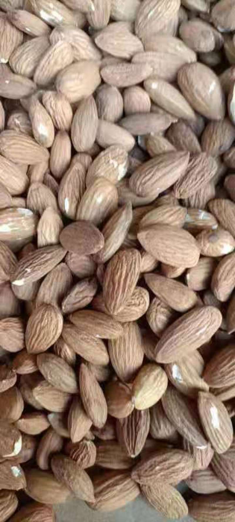 批发生果【进口巴旦木仁】生杏仁适用于做药用材料和各项食品