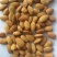 批发生果【进口巴旦木仁】生杏仁适用于做药用材料和各项食品
