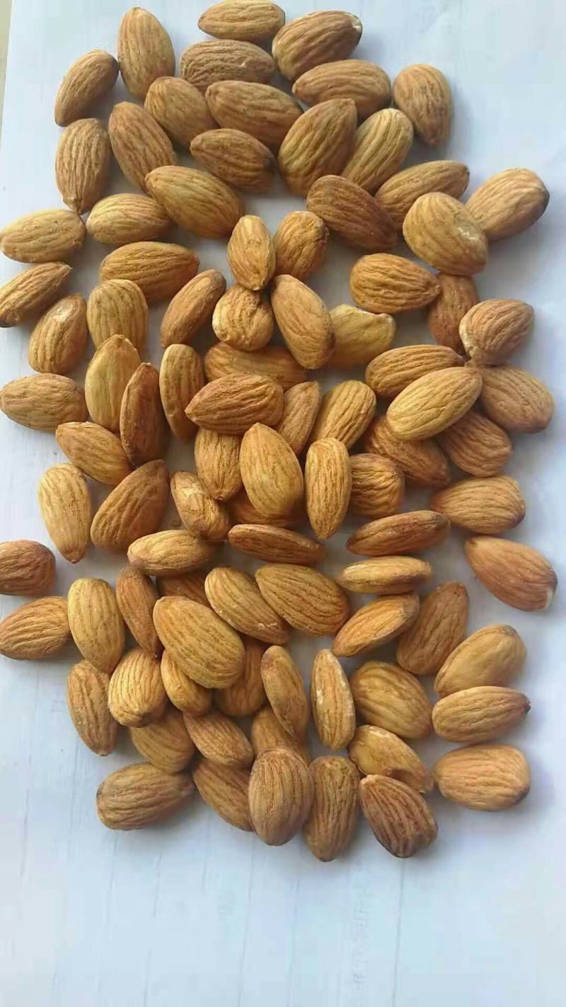 批发生果【进口巴旦木仁】生杏仁适用于做药用材料和各项食品