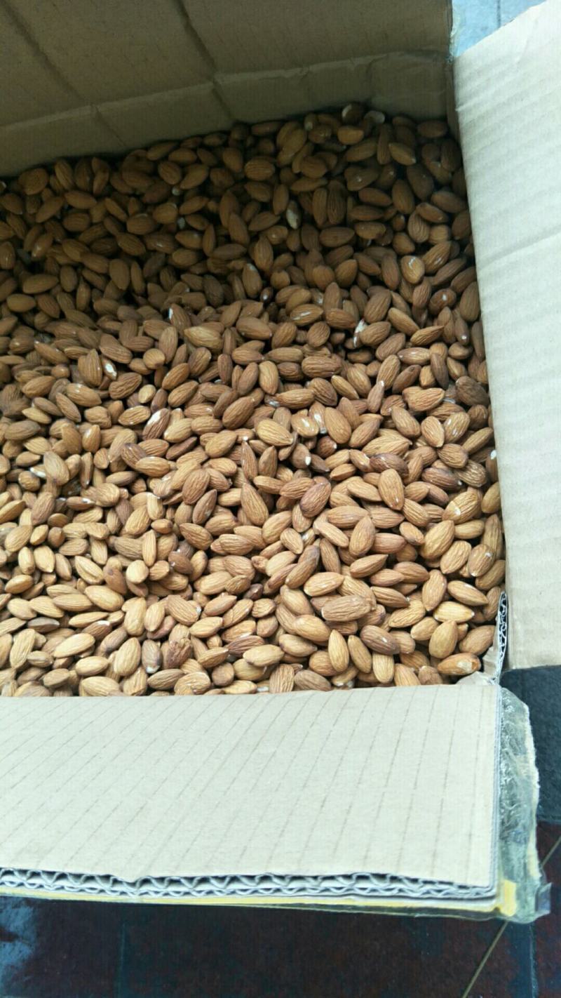 批发生果【进口巴旦木仁】生杏仁适用于做药用材料和各项食品