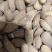 批发生果【进口巴旦木仁】生杏仁适用于做药用材料和各项食品