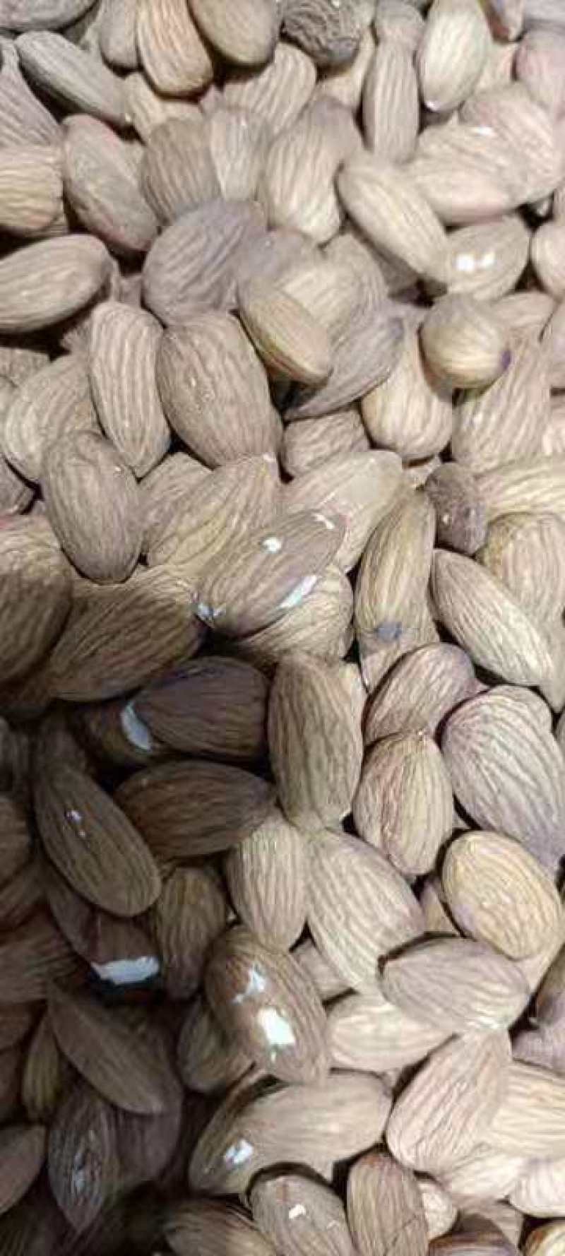 批发生果【进口巴旦木仁】生杏仁适用于做药用材料和各项食品